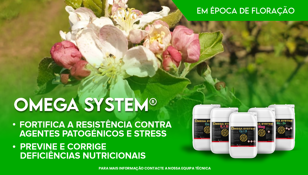 APLICAÇÃO DE OMEGA SYSTEM® NA CULTURA APLICAÇÃO DE OMEGA SYSTEM® NA CULTURA