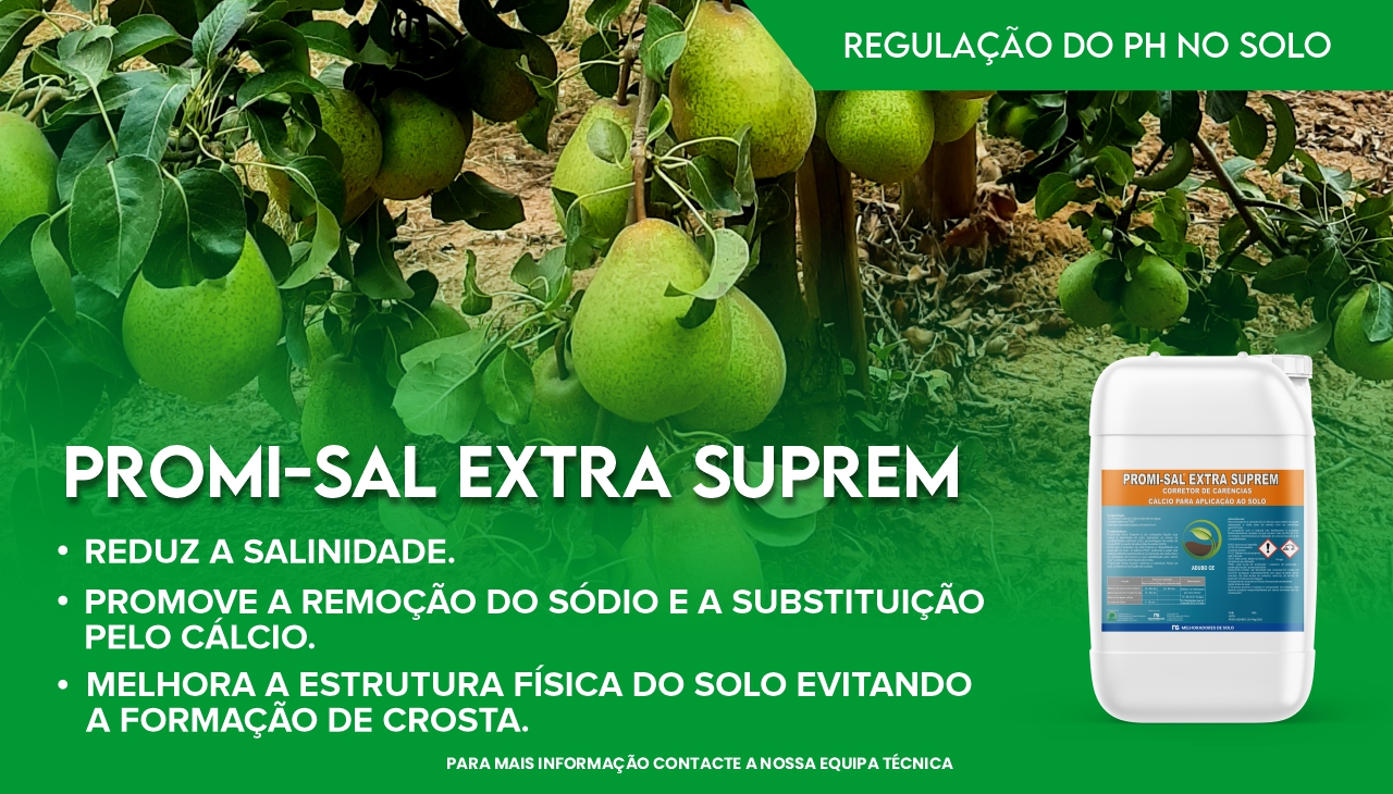PROMI-SAL EXTRA SUPREM - CORRETOR DE SALINIDADE NO SOLO PROMI-SAL EXTRA SUPREM - CORRETOR DE SALINIDADE NO SOLO