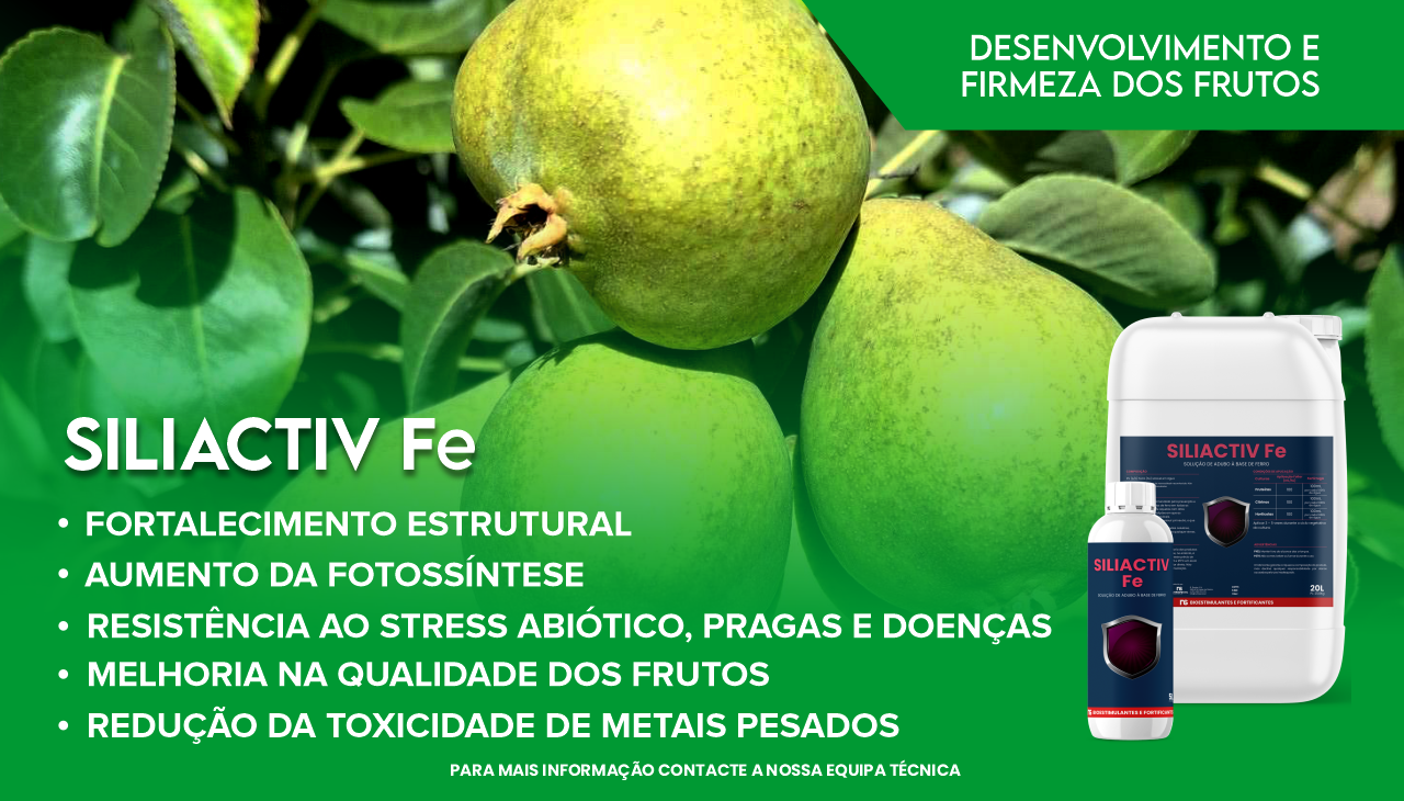IMPORTÂNCIA DO SILIACTIV FE EM POMÓIDEAS IMPORTÂNCIA DO SILIACTIV FE EM POMÓIDEAS