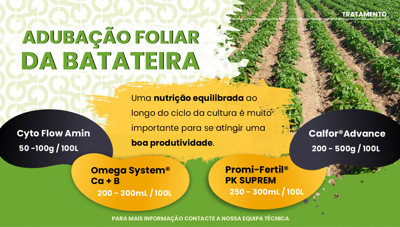 ADUBA��O FOLIAR DA BATATEIRA