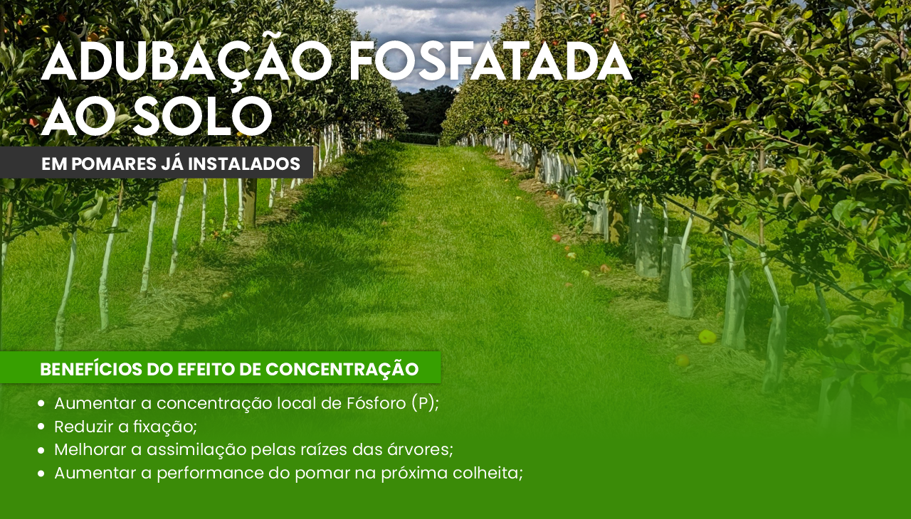 ADUBA��O FOSFATADA AO SOLO EM POMARES J� INSTALADOS