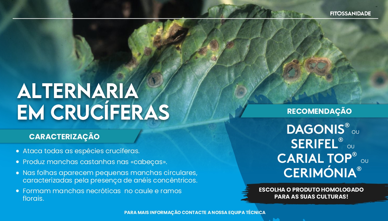 ALTERNARIA EM CRUC�FERAS