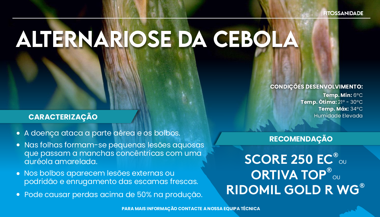 ALTERNARIOSE DA CEBOLA
