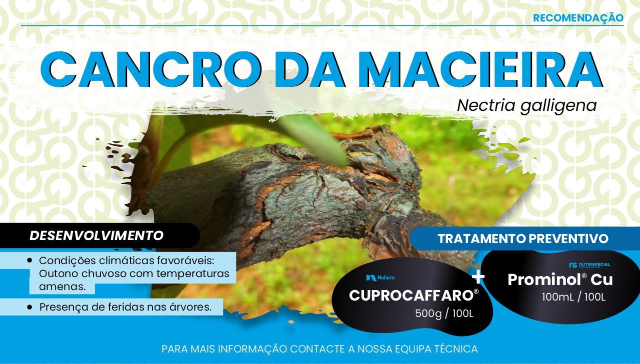 CANCRO DA MACIEIRA