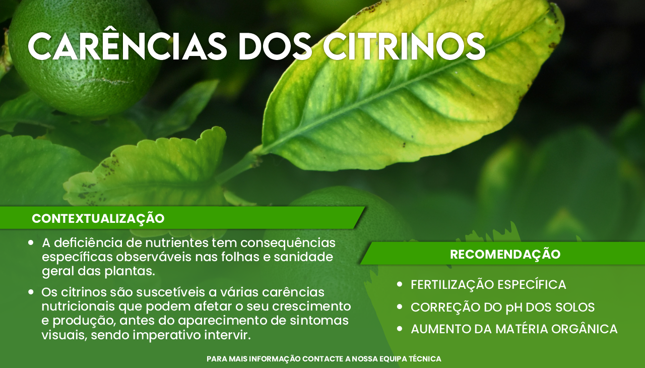 CAR�NCIAS DOS CITRINOS