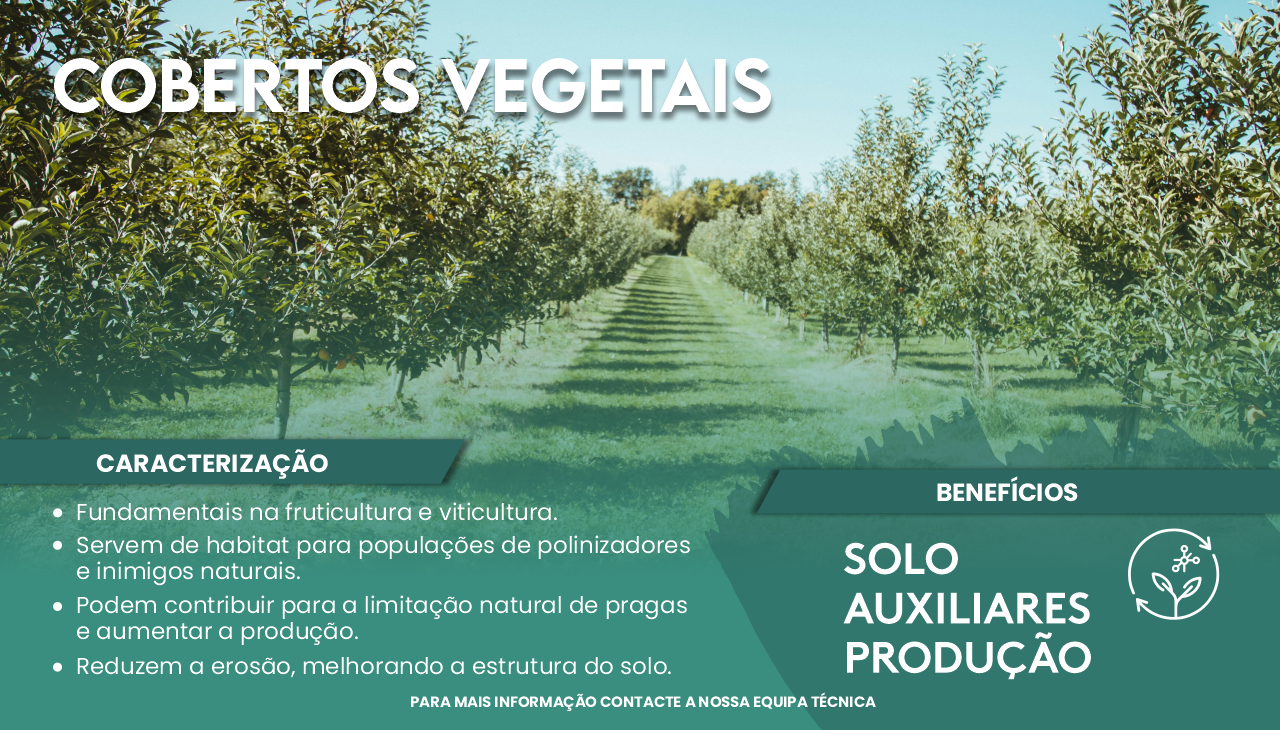 COBERTOS VEGETAIS