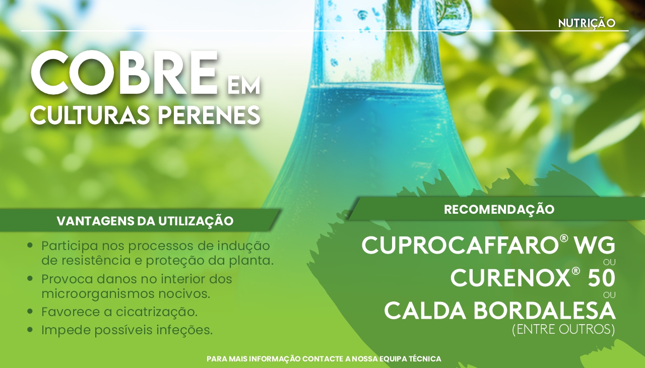 UTILIZA��O DE COBRE EM CULTURAS PERENES