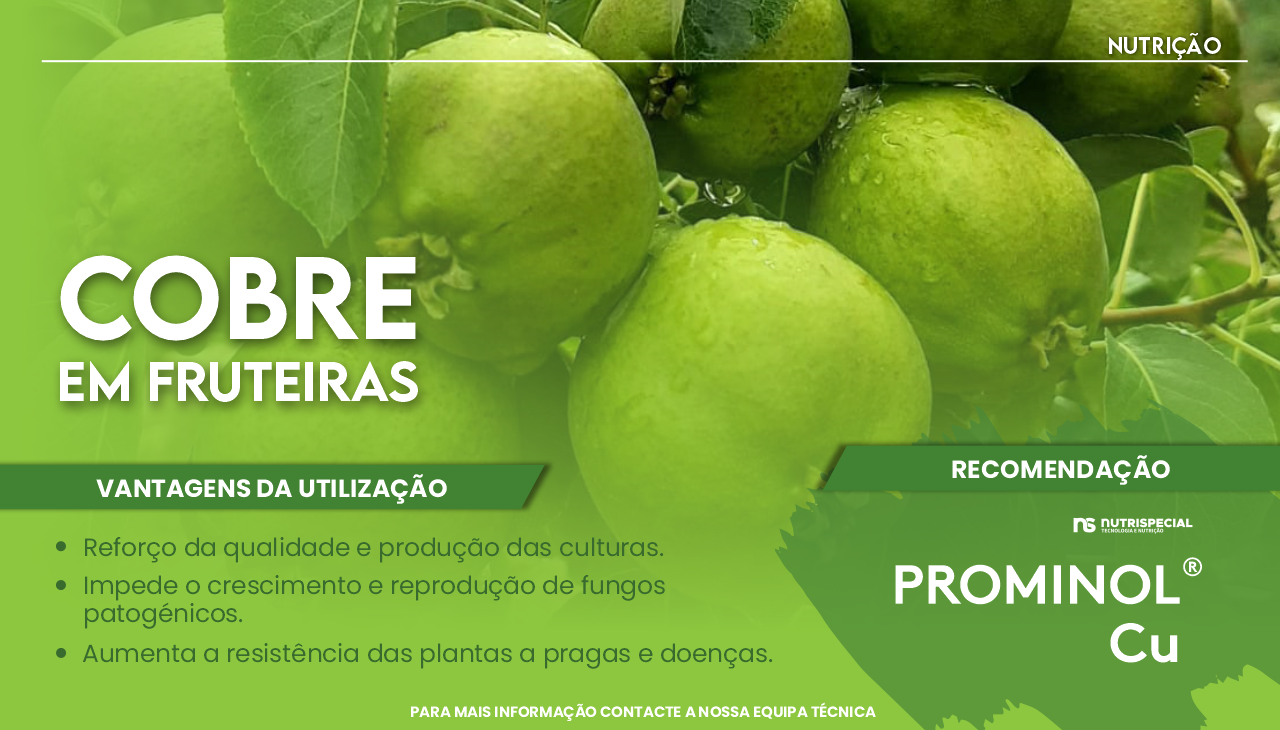 COBRE EM FRUTEIRAS