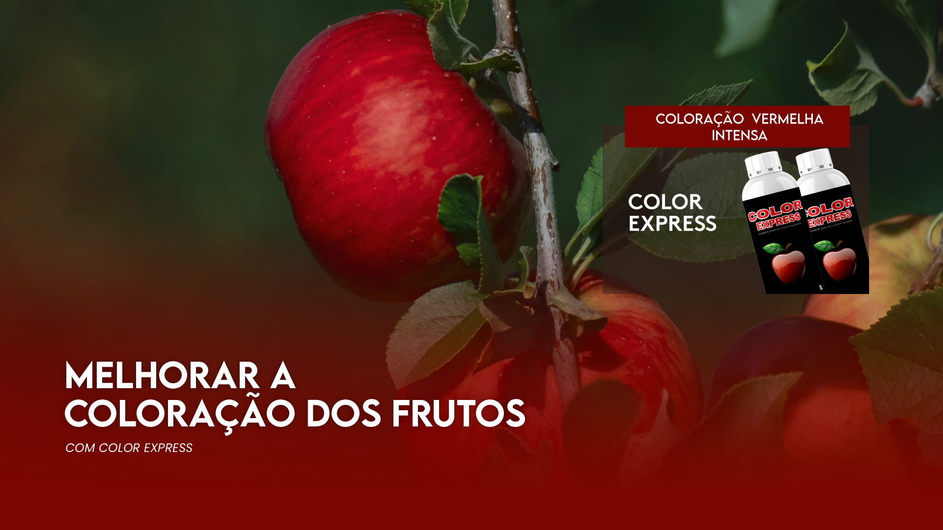 MELHORAR A COLORA��O DOS FRUTOS