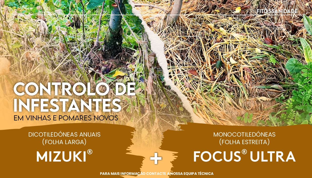 CONTROLO DE INFESTANTES EM VINHAS E POMARES NOVOS