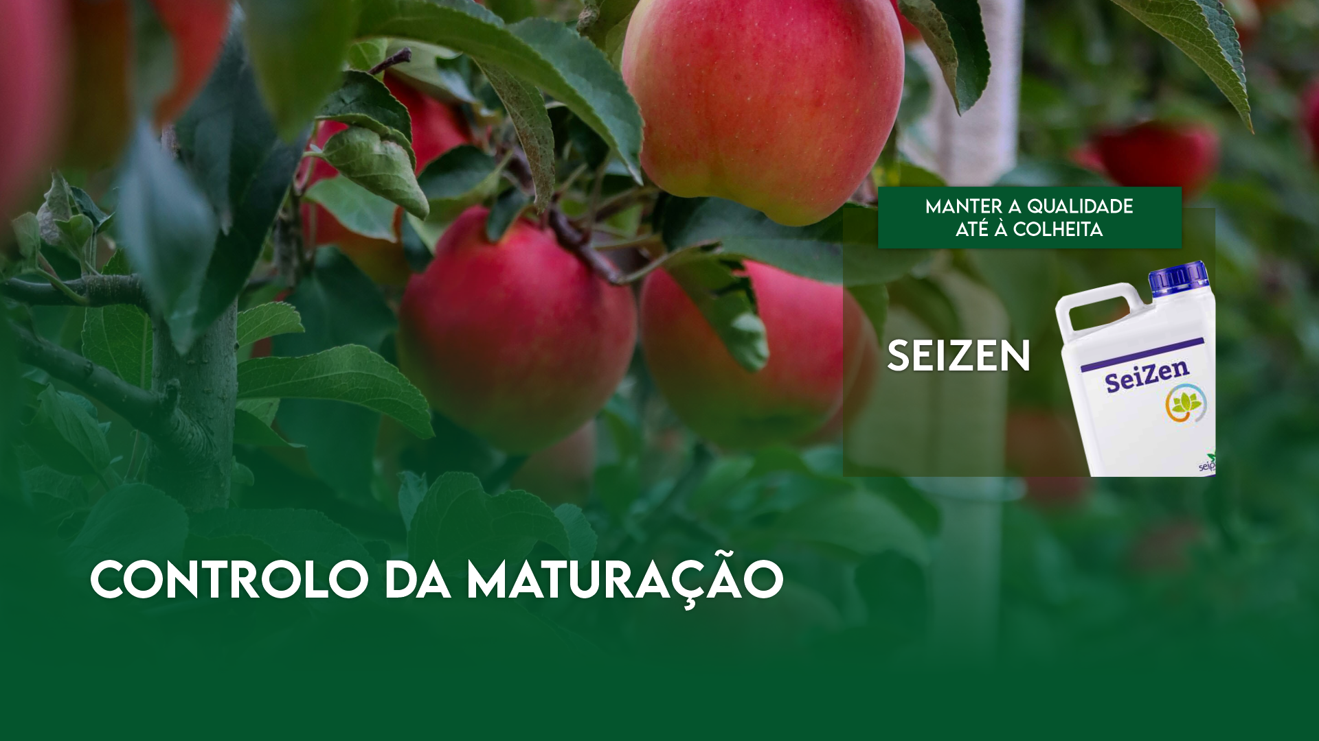 CONTROLO DA MATURA��O