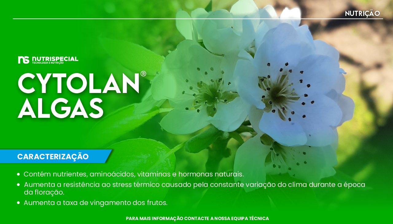 CYTOLAN ALGAS