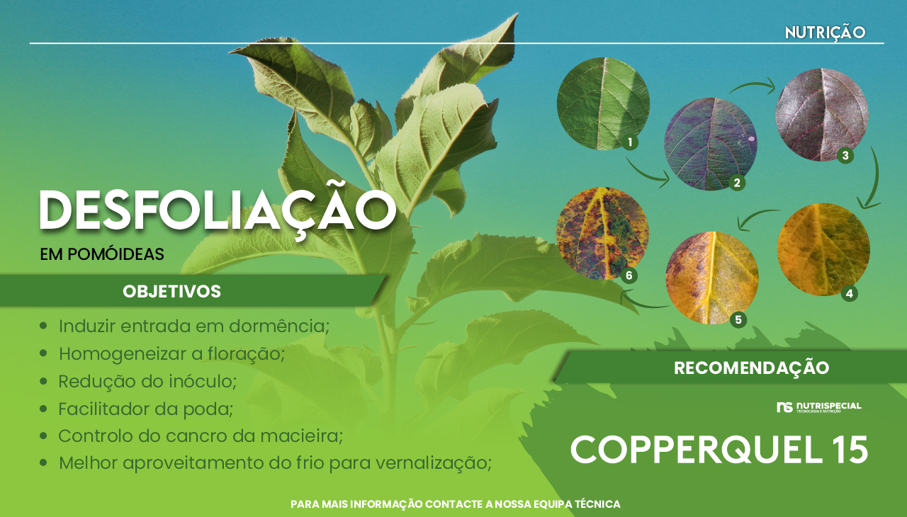 DESFOLIA��O EM POM�IDEAS