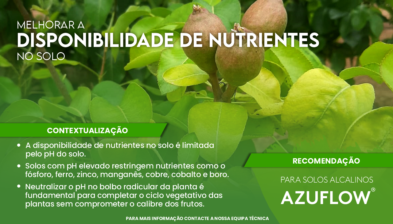MELHORAR A DISPONIBILIDADE DE NUTRIENTES NO SOLO