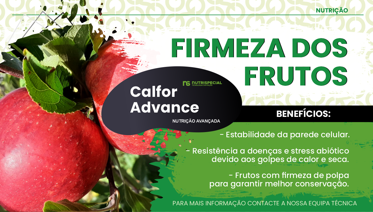 FIRMEZA DOS FRUTOS