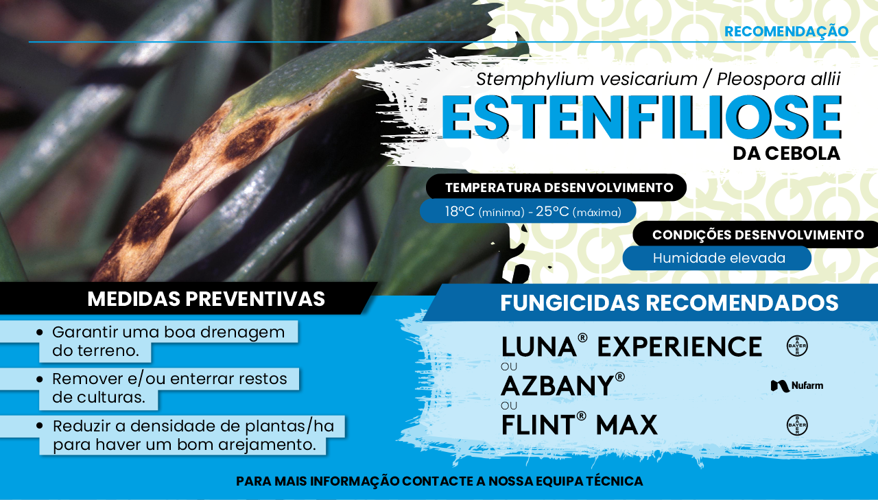 ESTENFILIOSE DA CEBOLA