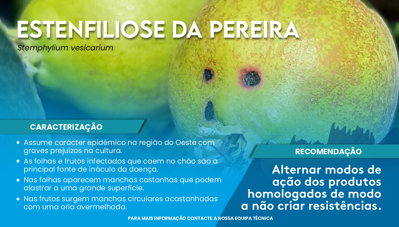 ESTENFILIOSE DA PEREIRA
