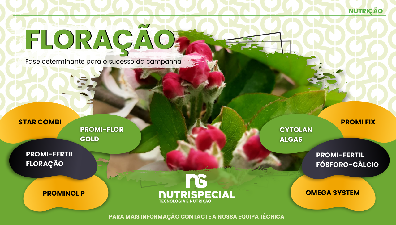 FLORA��O