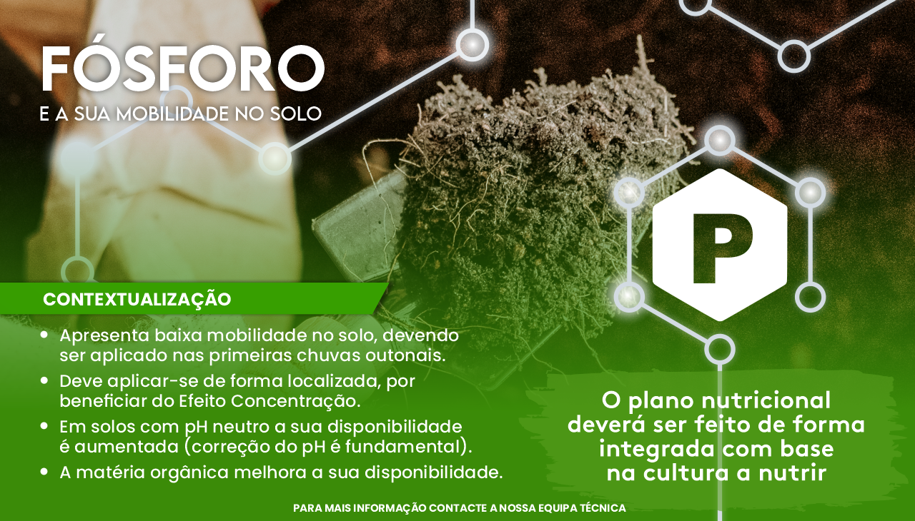 F�SFORO E A SUA MOBILIDADE NO SOLO