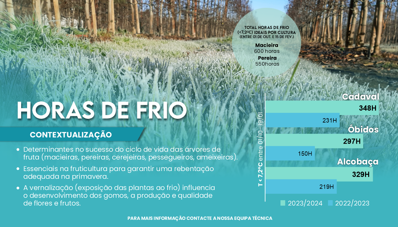 HORAS DE FRIO FRUTICULTURA