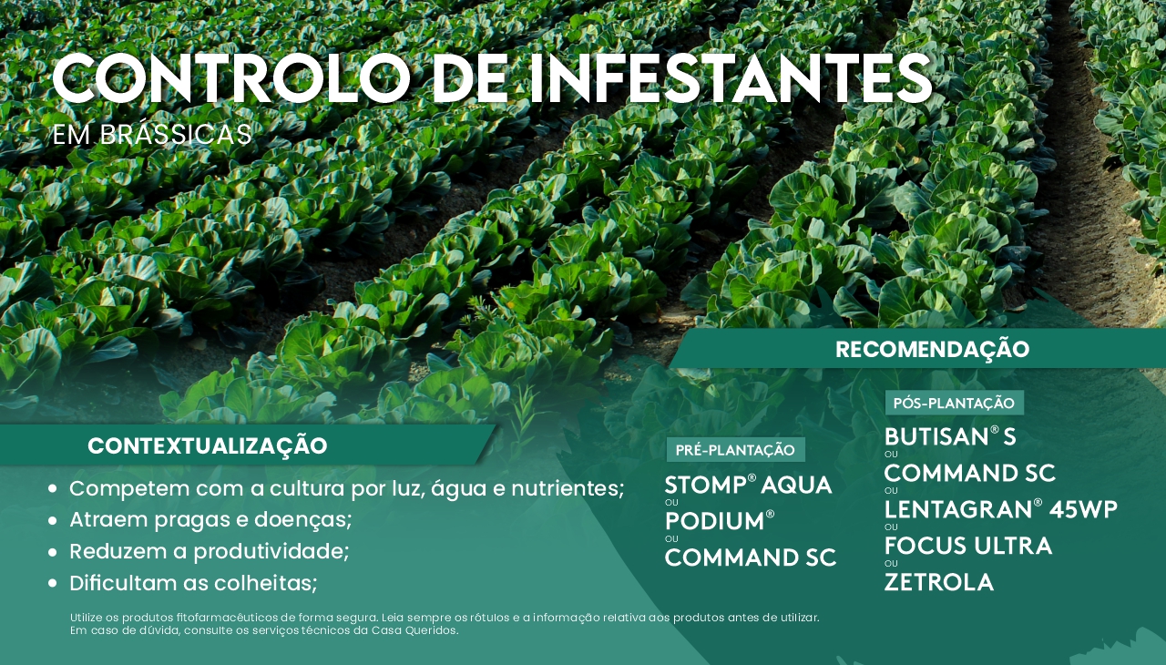 CONTROLO DE INFESTANTES EM BR�SSICAS