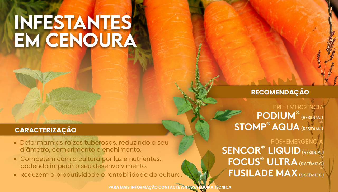 INFESTANTES EM CENOURAS