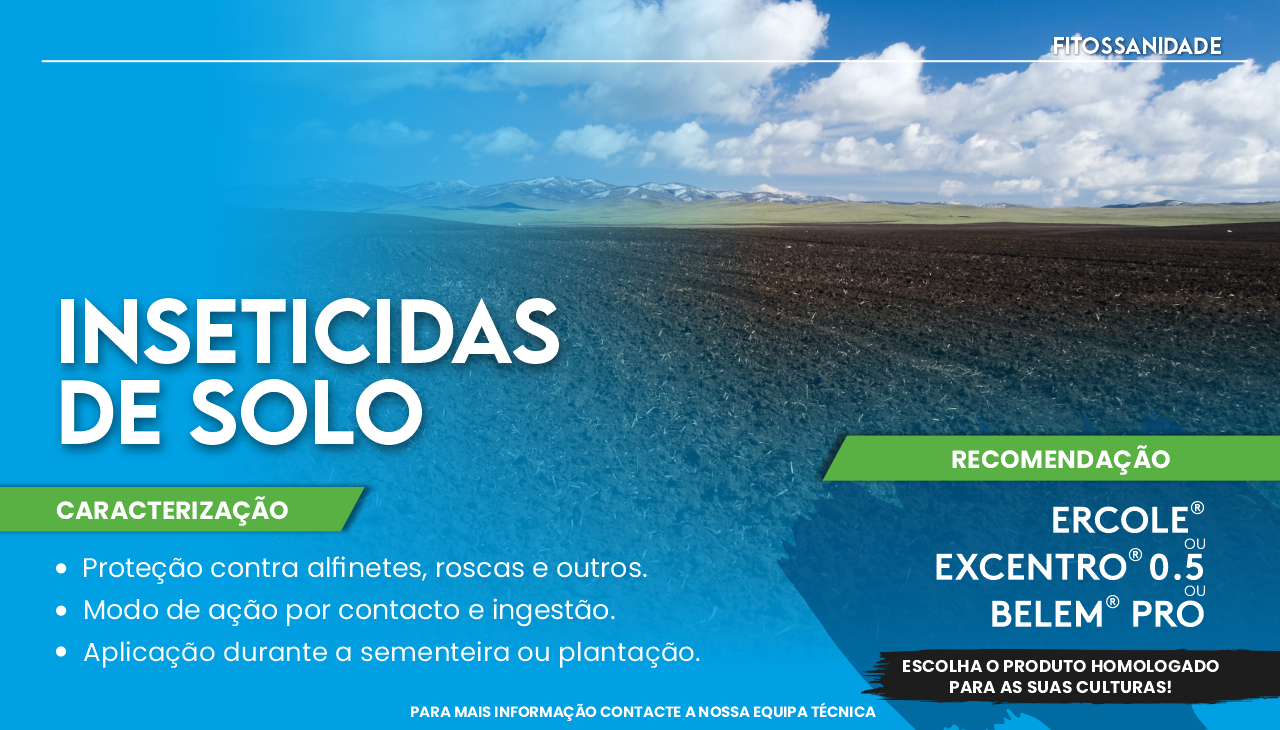 INSETICIDAS DE SOLO