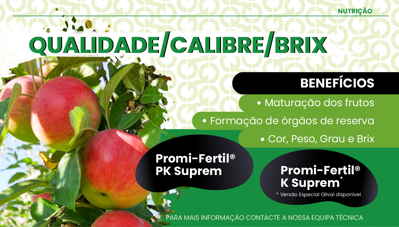 QUALIDADE / CALIBRE / BRIX