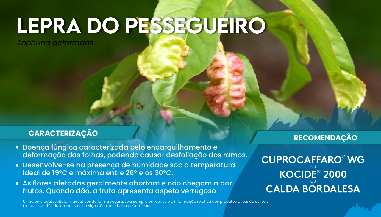 LEPRA DO PESSEGUEIRO