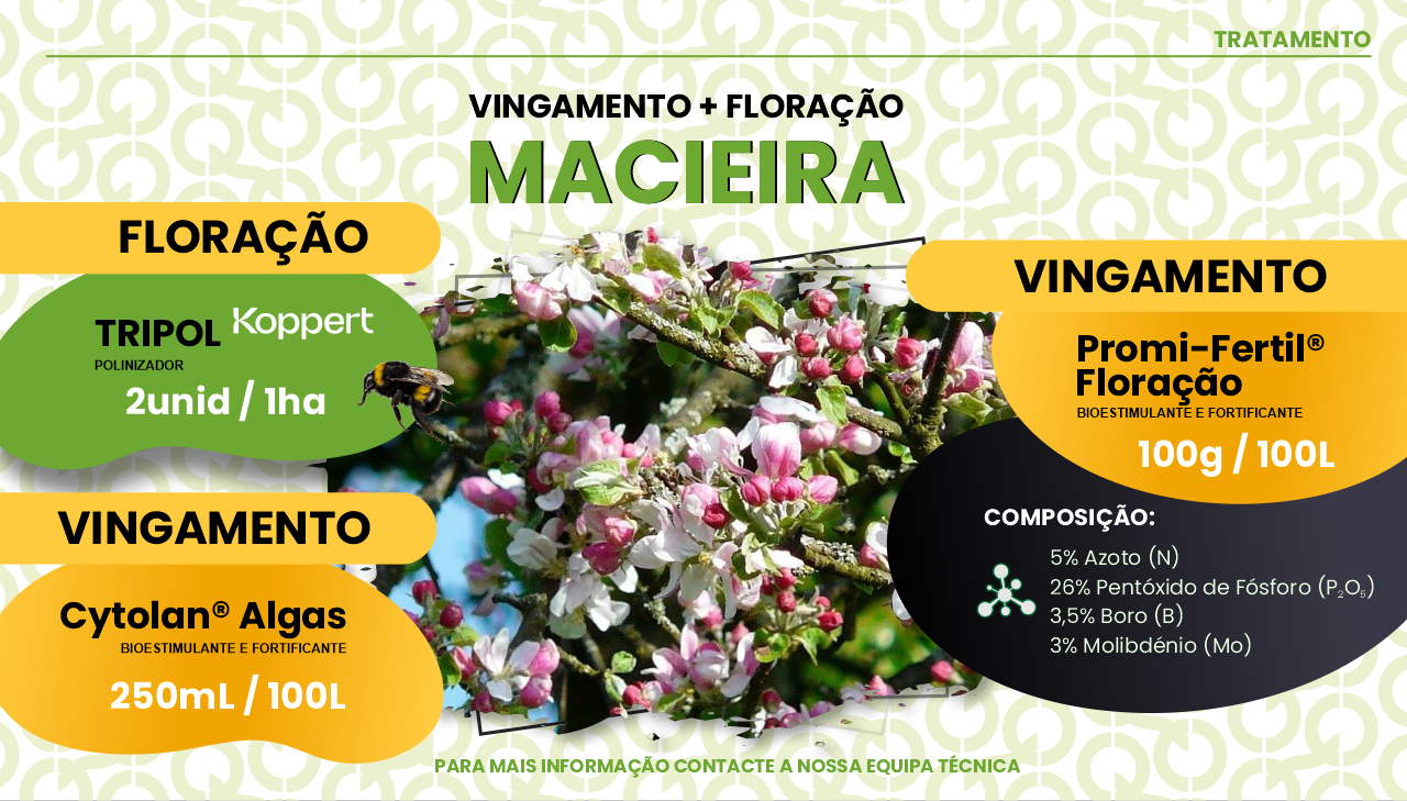 FLORA��O E VINGAMENTO DA MACIEIRA