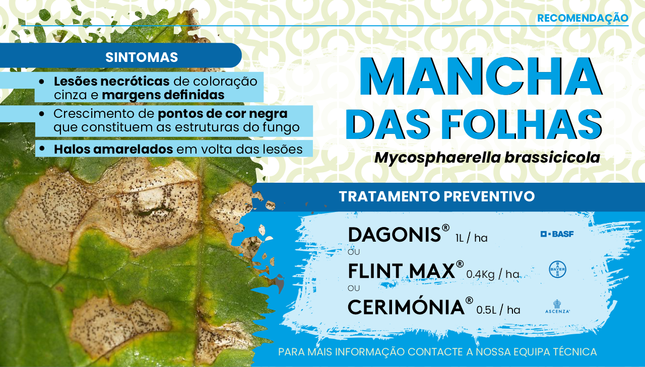 MANCHA DAS FOLHAS - Mycosphaerella brassicicola