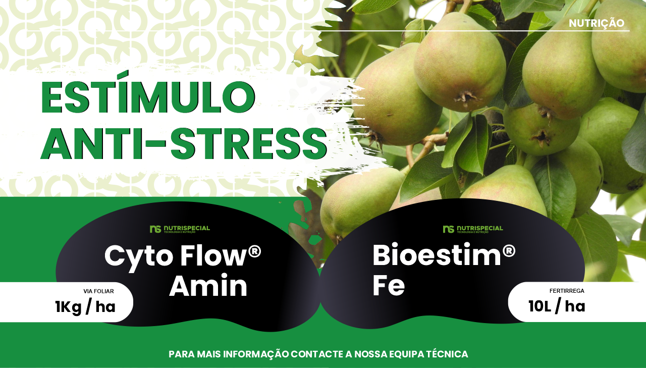 EST�MULO ANTI-STRESS