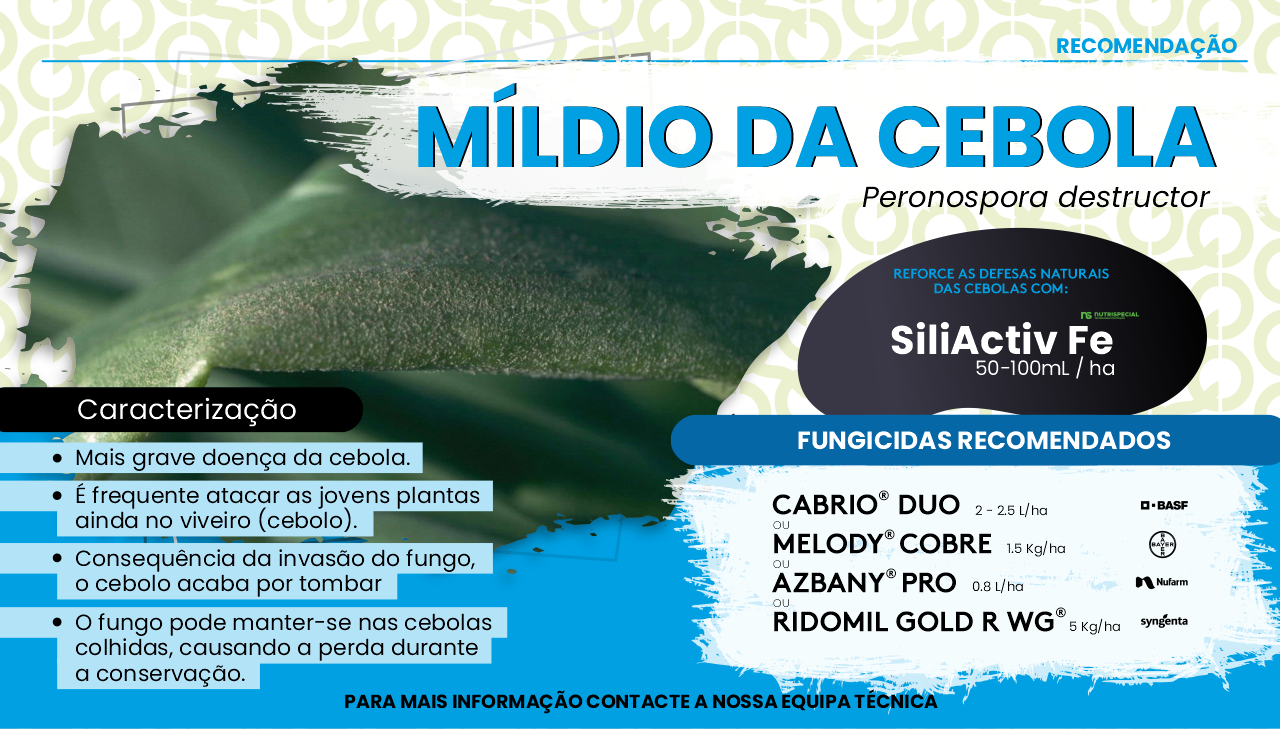 M�LDIO DA CEBOLA 
