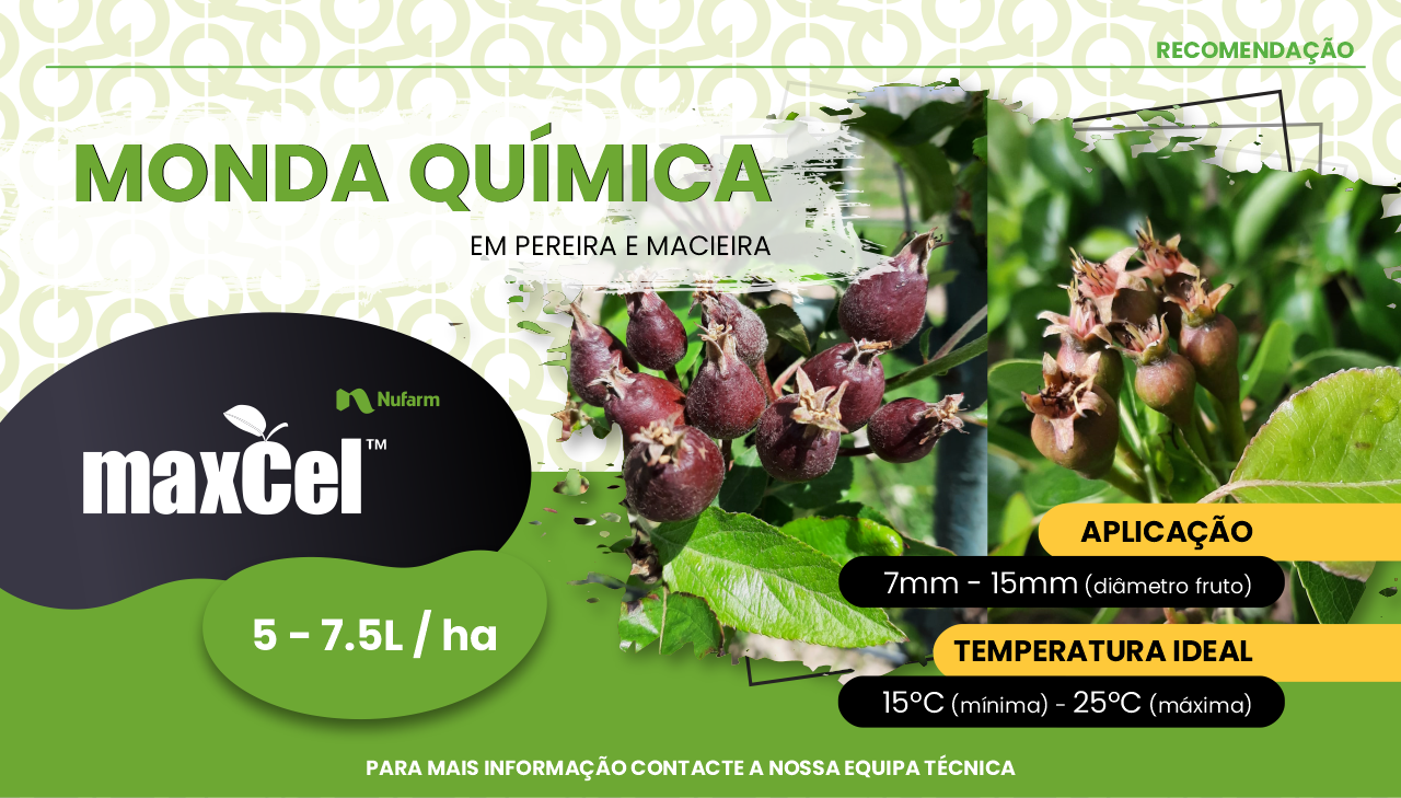 MONDA QU�MICA
