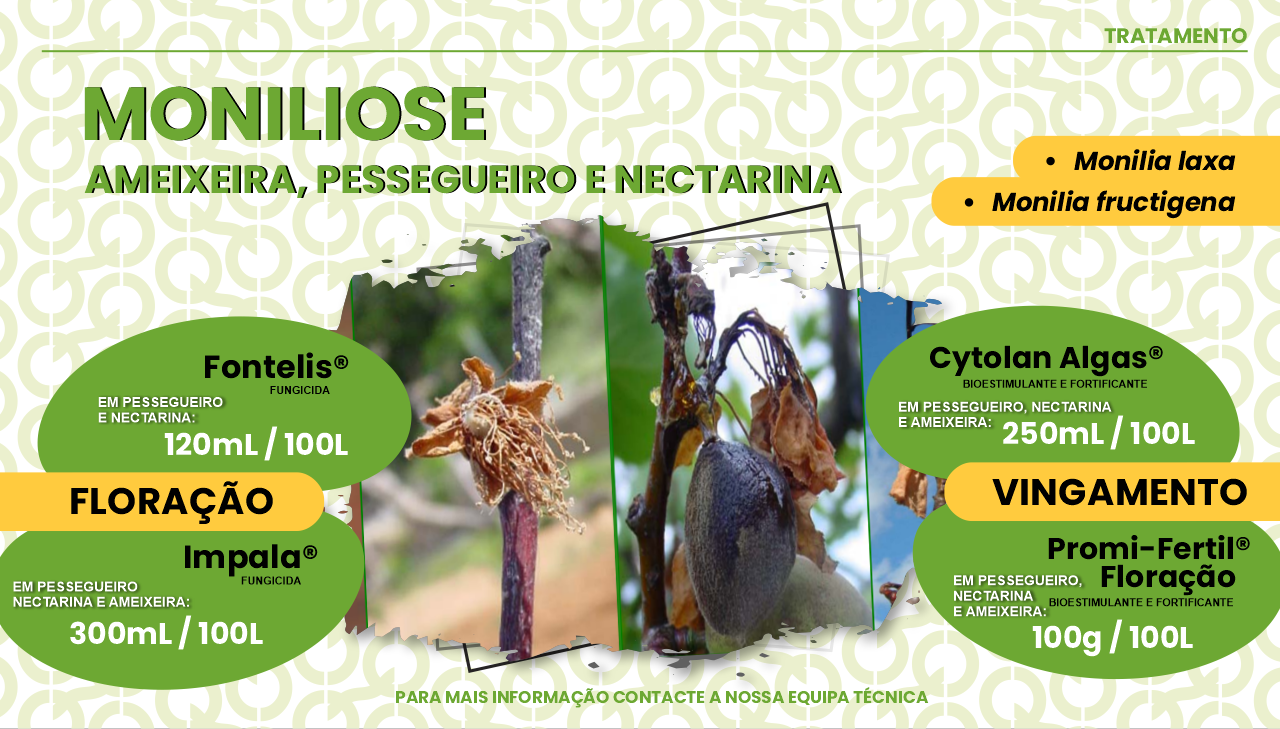 TRATAMENTO PREVENTIVO DA MONILIOSE
