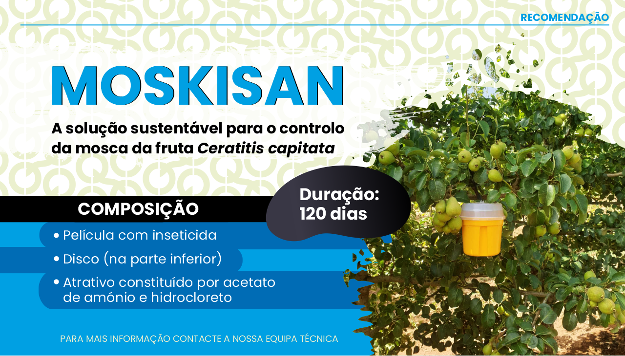 MOSKISAN - MOSCA DA FRUTA