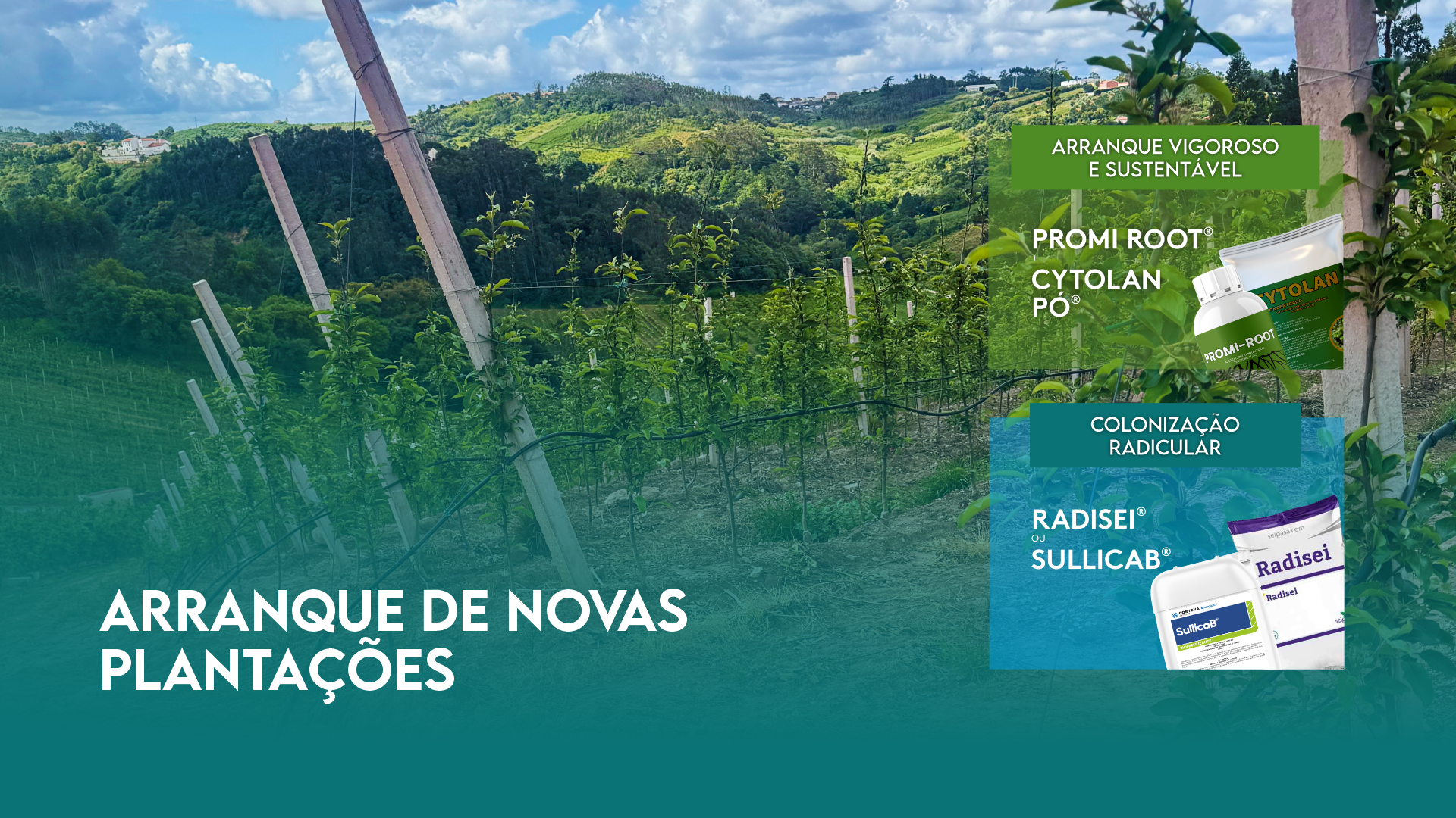 ARRANQUE DE NOVAS PLANTA��ES