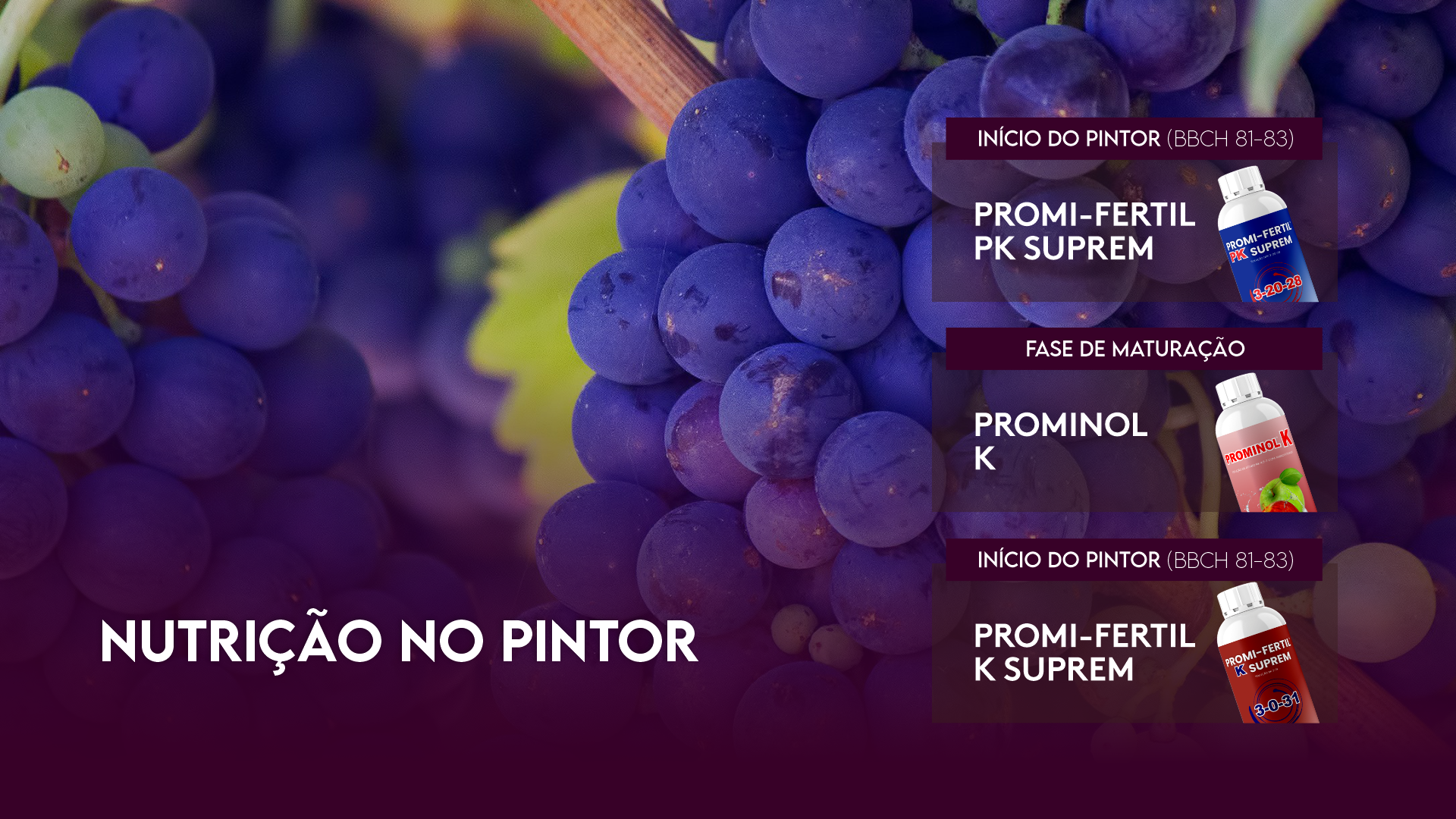 NUTRI��O NO PINTOR
