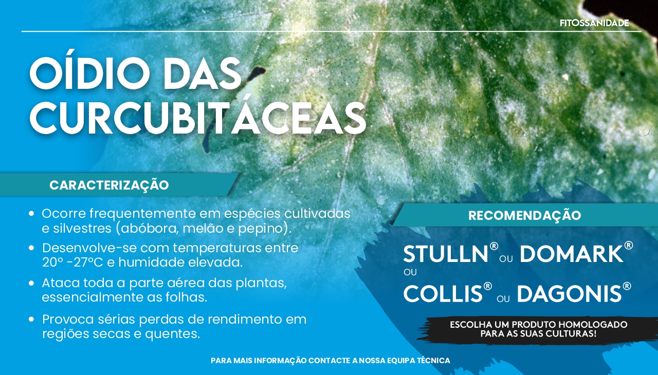 O�DIO DAS CURCUBIT�CEAS
