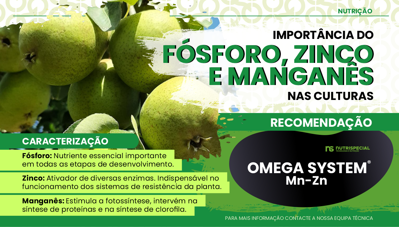 IMPORT�NCIA DO F�SFORO, ZINCO E MANGAN�S NAS CULTURAS