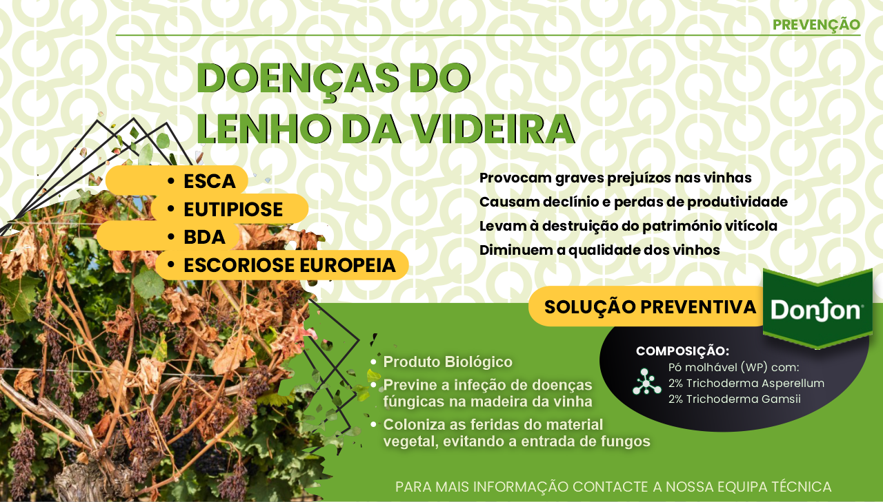 PREVEN��O DOEN�AS LENHO DA VIDEIRA