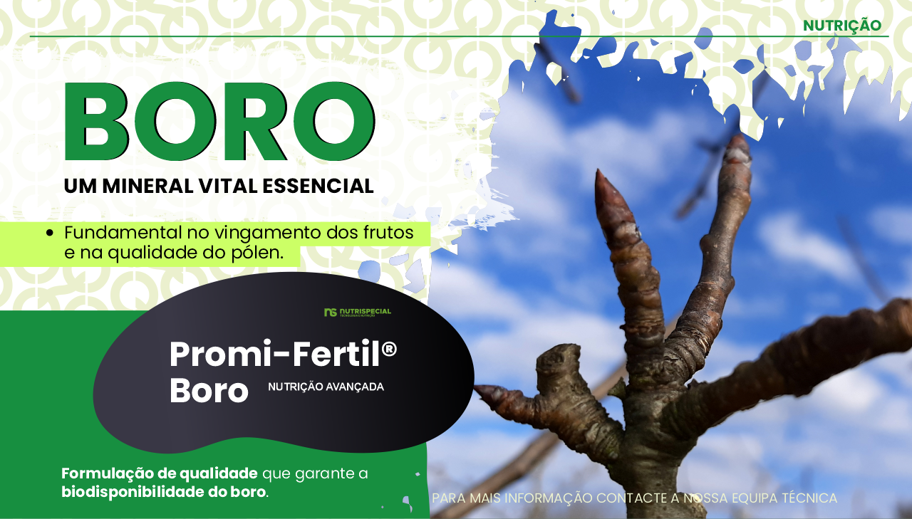 BORO - UM MINERAL VITAL ESSENCIAL