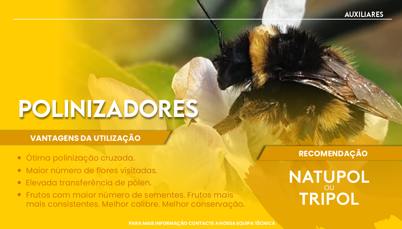 POLINIZADORES