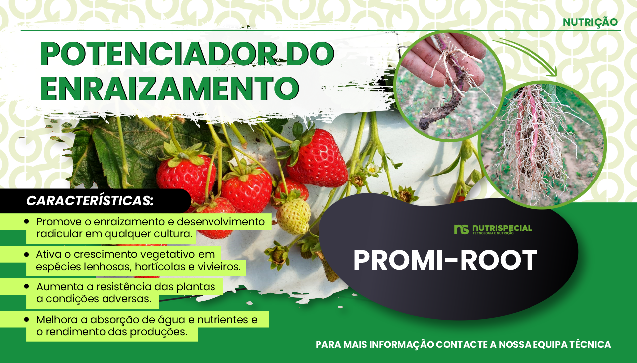 PROMI-ROOT: O POTENCIADOR DO ENRAIZAMENTO