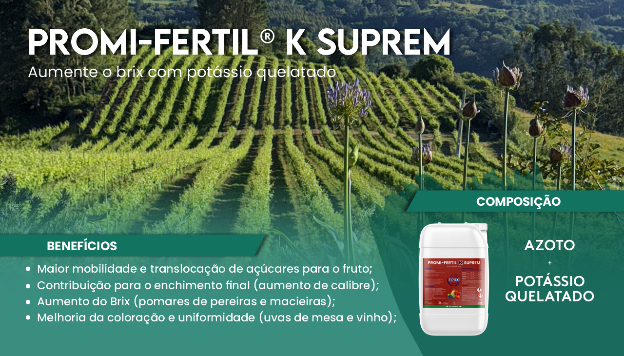 AUMENTO DE BRIX COM POT�SSIO QUELATADO
