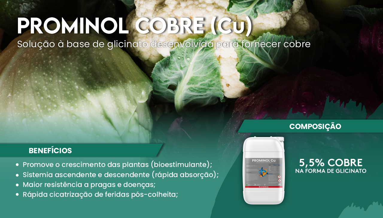 PROMINOL COBRE - BENEF�CIOS EM BR�SSICAS