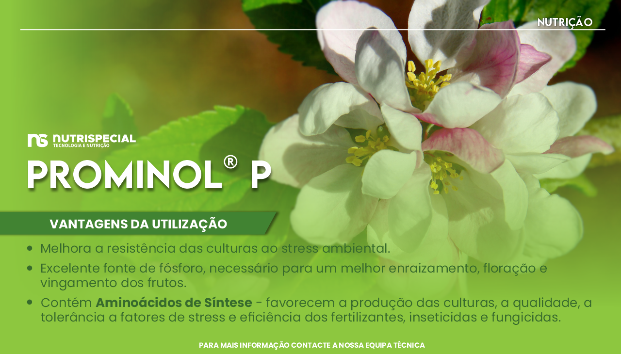 PROMINOL� P 