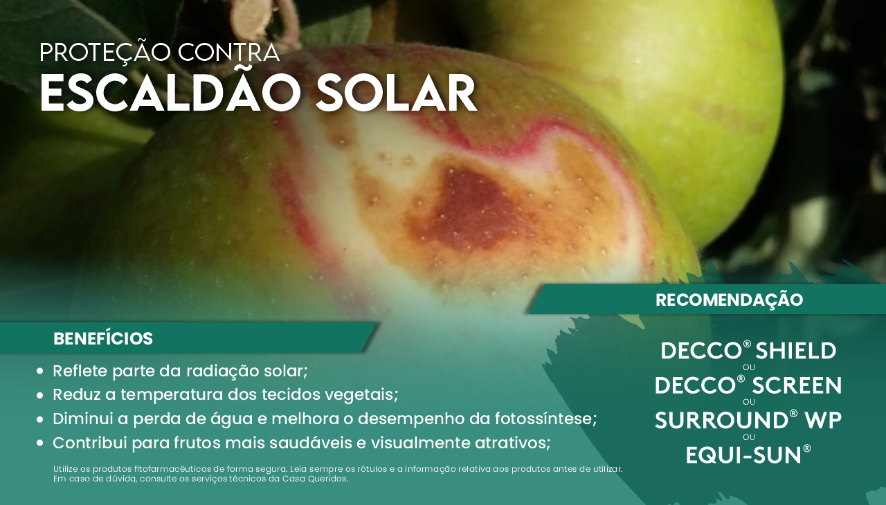 PROTE��O CONTRA O ESCALD�O SOLAR