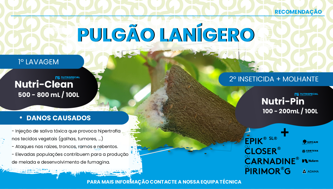 PULG�O LAN�GERO