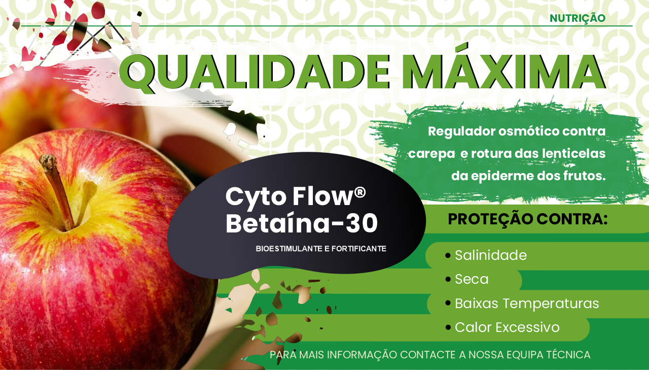 QUALIDADE M�XIMA